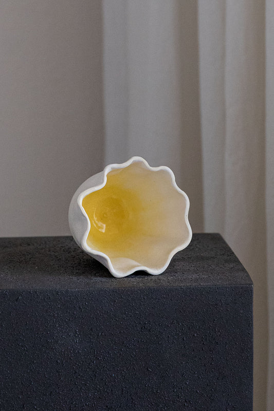 Daffodil Cup Test 1