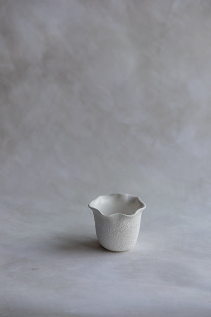 Flutter Cup Flutter Cup – dollstudios