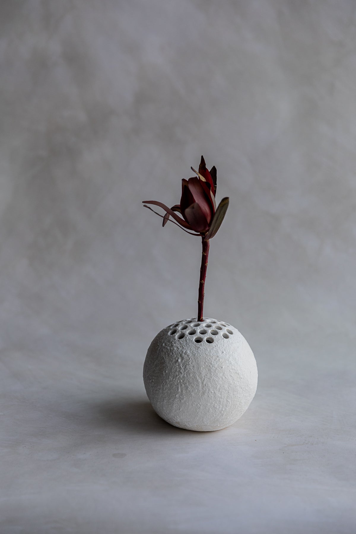 Seed Vessel