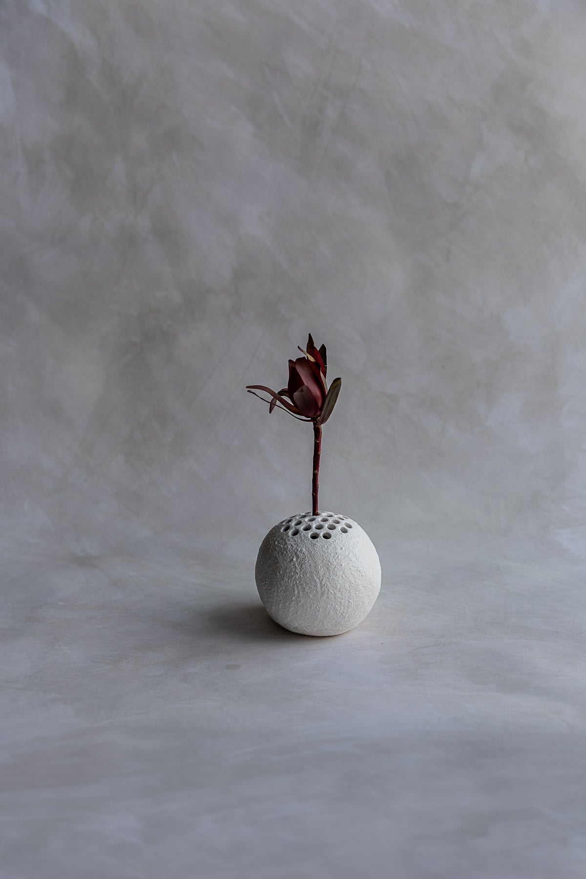 Seed Vessel
