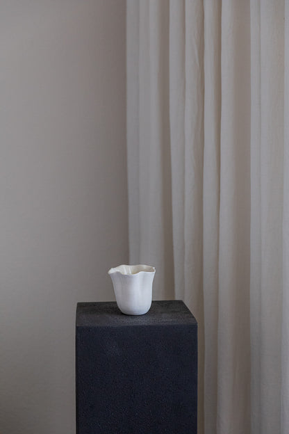 Daffodil Cup Test 2