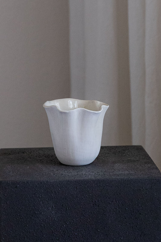 Daffodil Cup Test 2