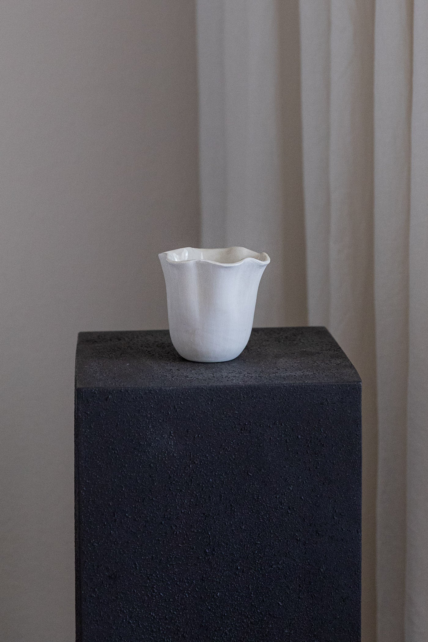 Daffodil Cup Test 2