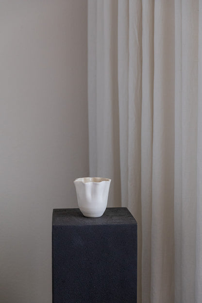Daffodil Cup Test 1