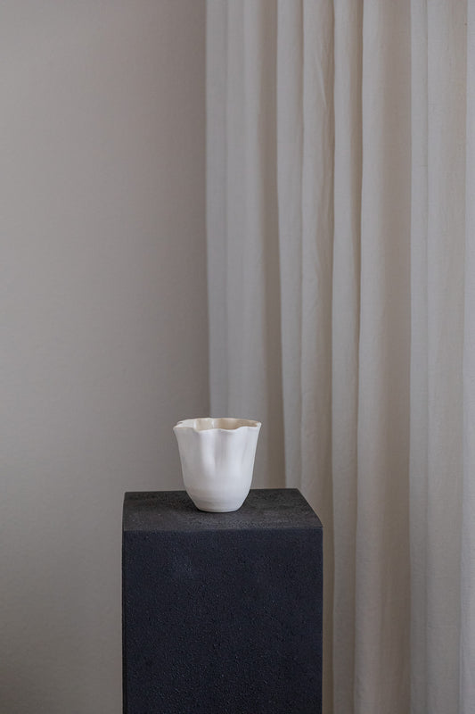 Daffodil Cup Test 1