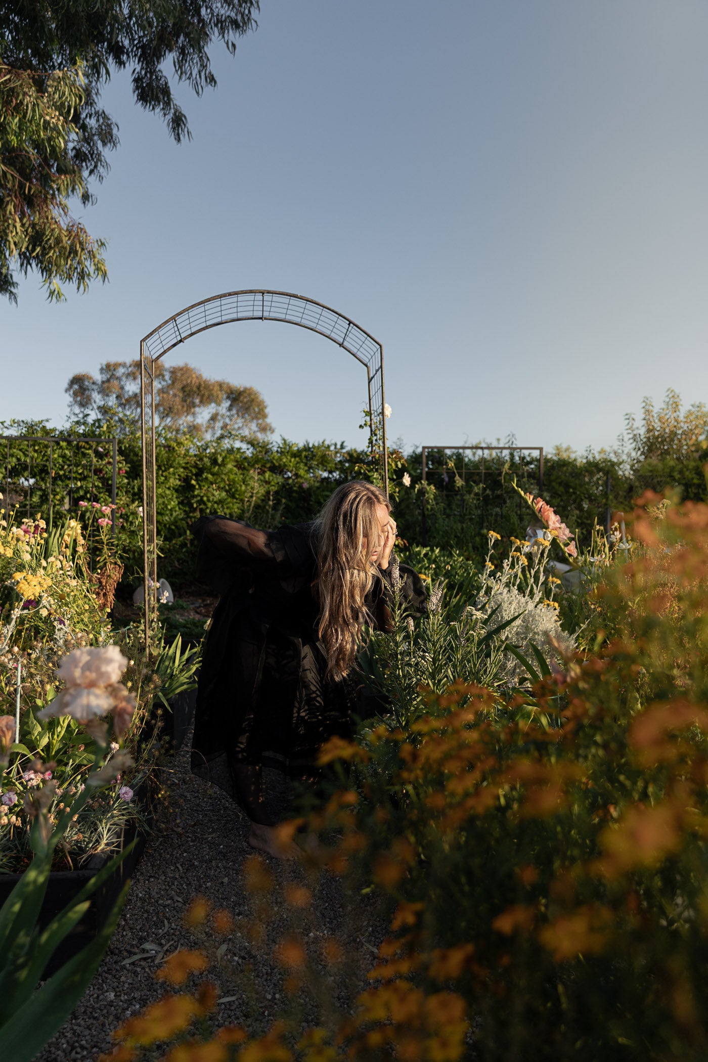 Fall 2026 Portraits in the Garden