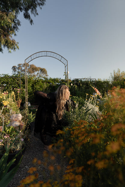 Fall 2026 Portraits in the Garden